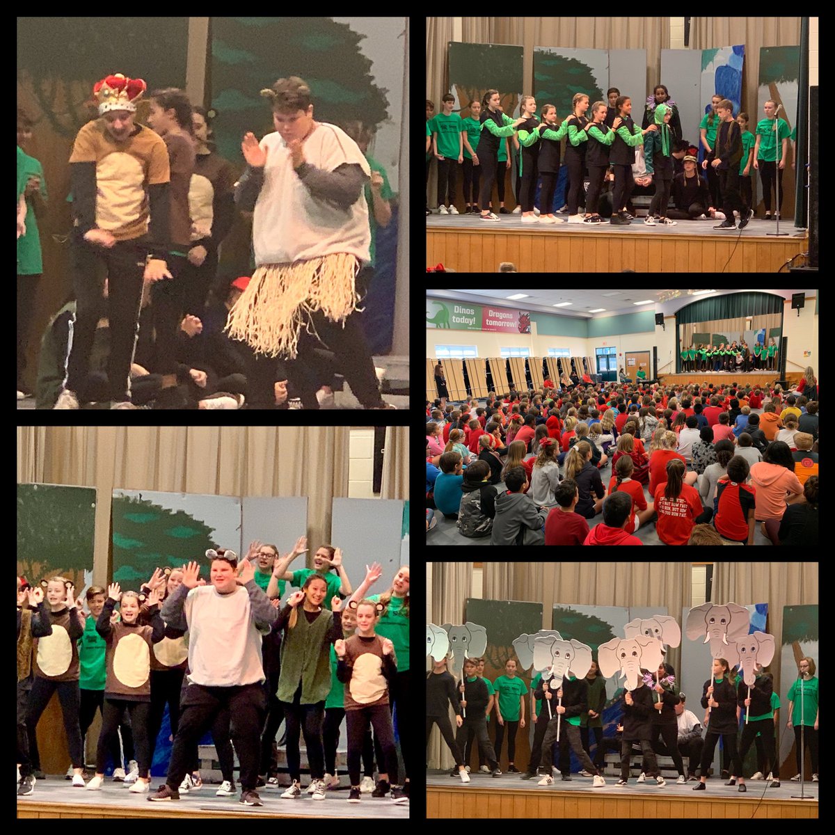 Reba Mussey (@rfmussey) on Twitter photo Thank you <a href="/CTMS_Cougars/">Chisholm Trail MS</a> for sharing your talented students with <a href="/DeepWood_RRISD/">DeepWood Elementary</a>! My heart is completely full watching our former Dinos performing The Jungle Book! It was simply outstanding! Our kids LOVED it! Thank you <a href="/CTMS_Cougars/">Chisholm Trail MS</a> for sharing your talented students with <a href="/DeepWood_RRISD/">DeepWood Elementary</a>! My heart is completely full watching our former Dinos performing The Jungle Book! It was simply outstanding! Our kids LOVED it!