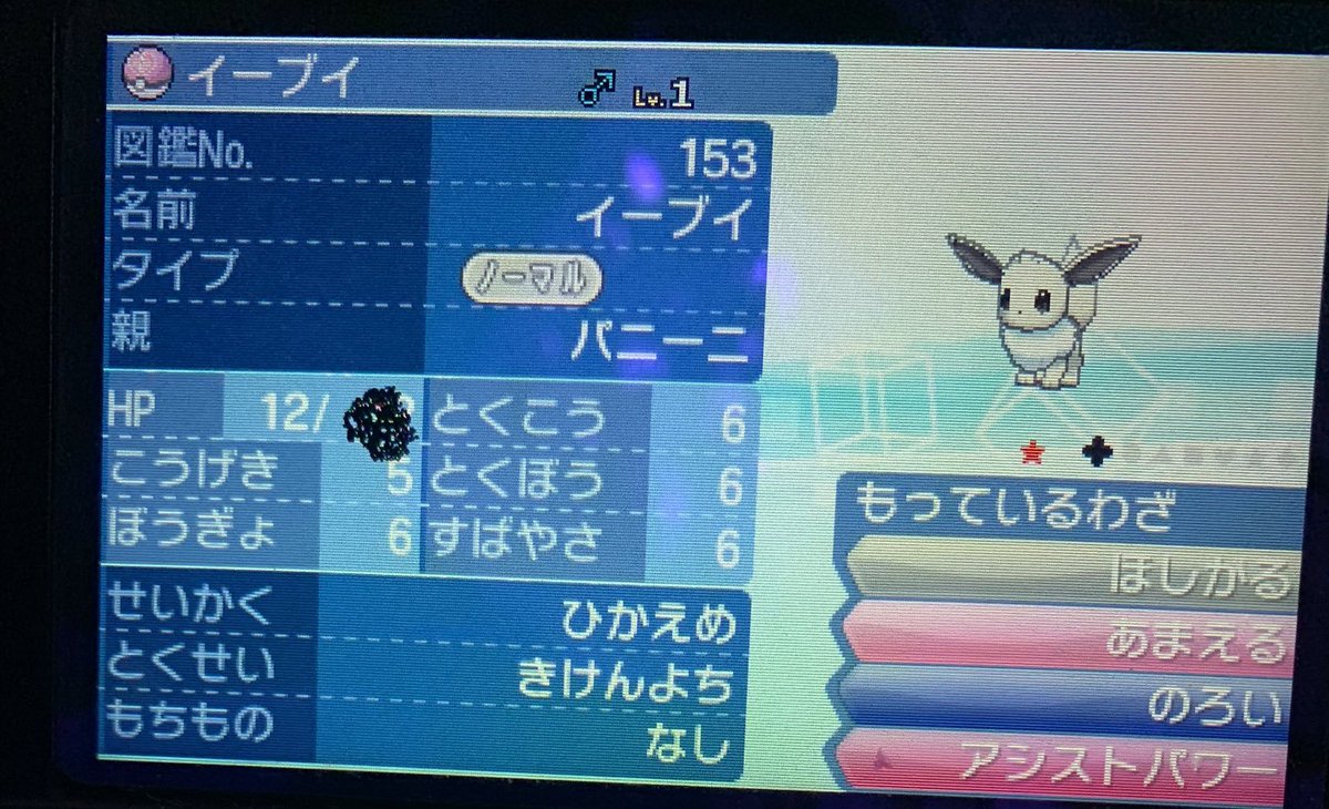 しらたき 色違いイーブイ にげあし 当選者 渚ペンギン 人生良くするためのブログさん Nagi Pen10 提供者 パニーニ東雲さん Sinonome 93 しらたき 色違いイーブイ にげあし 当選者 渚ペンギン 人生良くするためのブログさん Nagi Pen10 提供者 パニーニ東雲さん Sinonome 93