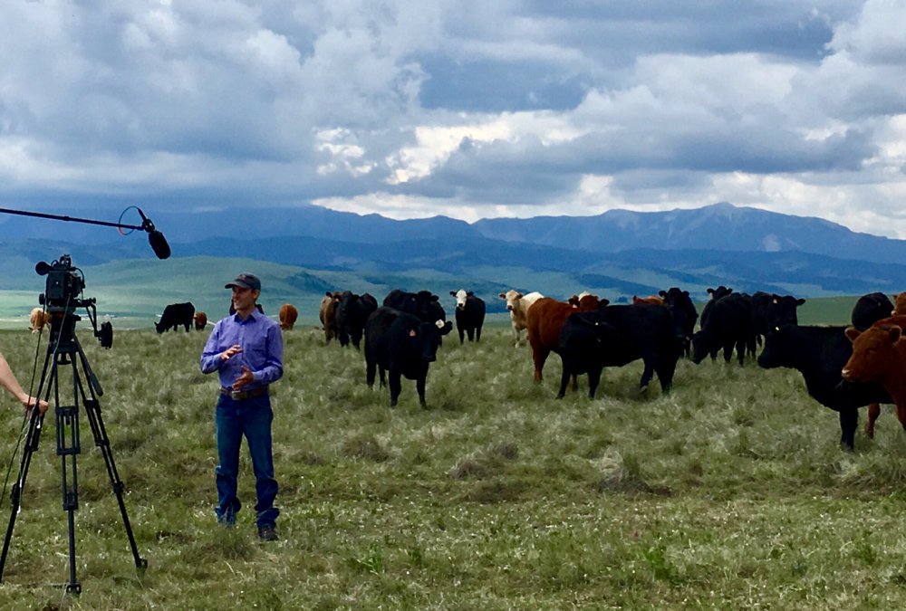 ABFarmerExpress's tweet photo. Not all superheroes wear capes — some put on work clothes and graze cows. https://t.co/S4koo99O9s #cdnag https://t.co/rQHVEekKNt