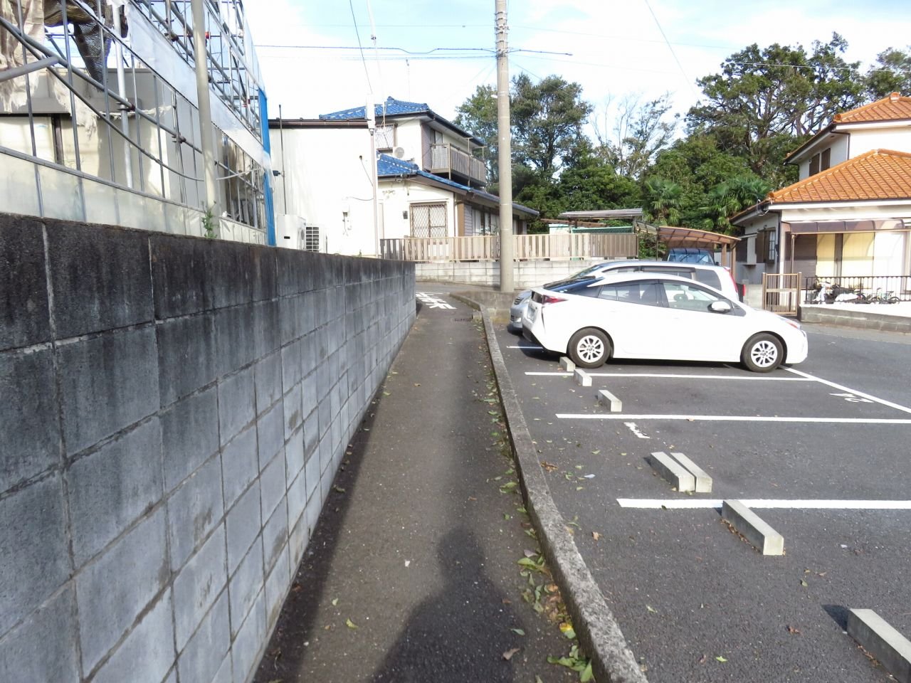 たこ 道路好団垢 こんな狭い道に 何故車道向けの 止まれ ペイントが その道幅を自転車と比べてもこの有様 推定1 2mで 軽ですら通れないどころか物理的に収まらない 通常サイズの 止まれ ペイントが描かれている道 としては 日本一狭い道を見つけた自信