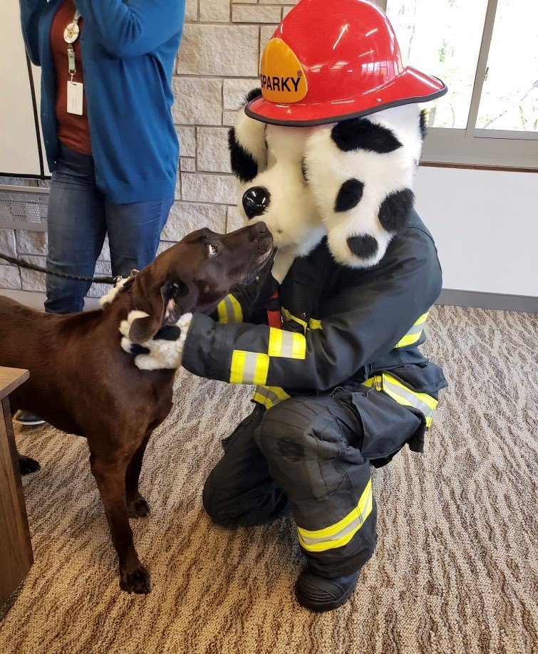 The DKP Penny Wars with <a href="/ZionsvilleIN/">Town of Zionsville</a> Fire Dept, <a href="/boonecosheriff/">Boone County Sheriff’s Office, Sheriff Tony Harris</a>, <a href="/HSforBC/">Humane Society/Boone</a>, and @ICANdogs are heating up! Yesterday ZFD visited DKP to keep the competition alive. Stop by DKP before Oct 28 to donate pennies, silver coins, and even dollars.

Learn more:
youtube.com/watch?v=Tg6gS-…