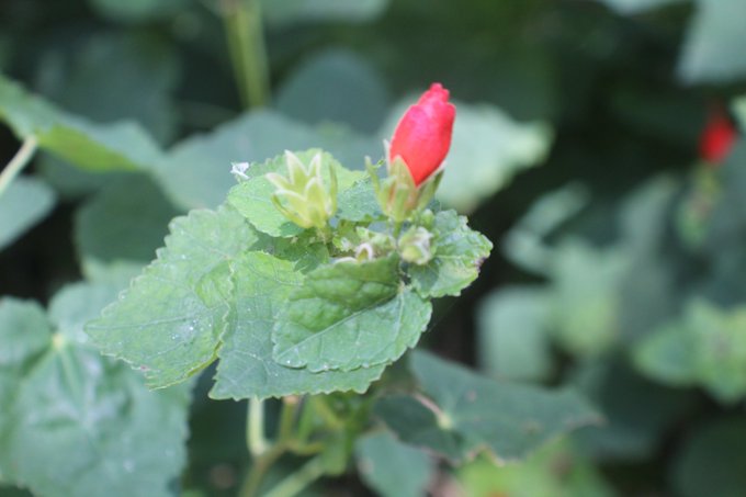 #macro https://t.co/VmJW8xDKbE<a href="/tag/macro"class="tags">#macro</a>