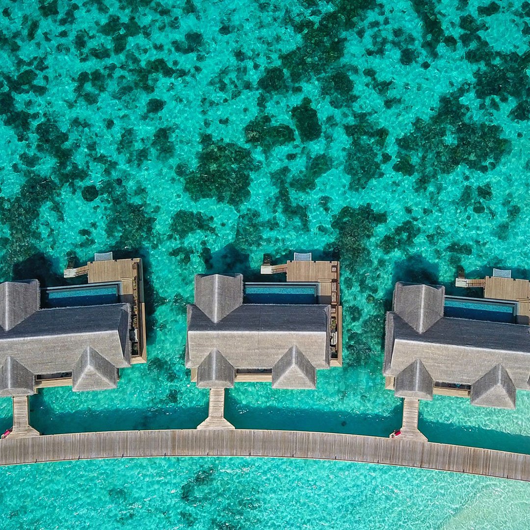 Maldivist_mv's tweet photo. Floating in the middle of the Indian Ocean. 
.
.
.
#travel #traveling #vacation #maldivist #instatravel #instago #instagood #trip #holiday #photooftheday #maldives #travelling  #tourist #instapassport #instatraveling #mytravelgram #travelgram #igtravel #snorkeling t
📷-  Fayaz https://t.co/U8bMSdRKRf