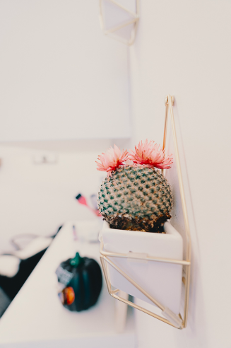 PaletteCo's tweet photo. One of the things we constantly take for granted that has helped us so much in our business is that friend who was in the industry longer and has imparted everything they've learned along the way just because they truly want to see us succeed. Kindness is key friends! https://t.co/QUkKlZ6k9f