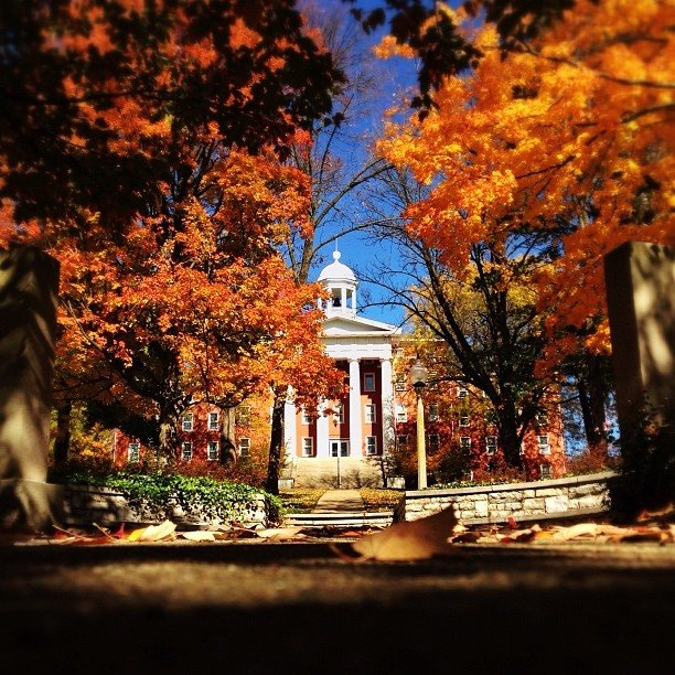 Attention alumni, students, and faculty! Please join us for our annual Homecoming Business Department tailgate from 10am-1pm on Saturday, October 26. Please refer to the link below for additional information, hope to see you there!

wittenberg.edu/academics/busi…