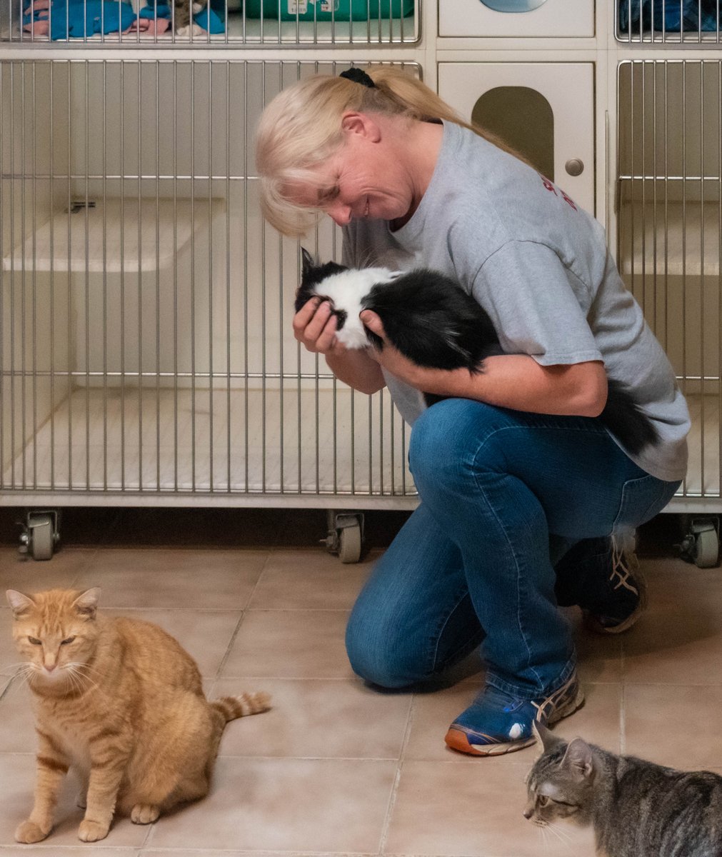 Pretzels, Inc. Plymouth (PretzelsPlym) Twitter