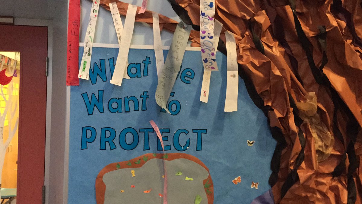 Our students are putting ribbons of paper about what they want to protect on this giant garry oak tree!