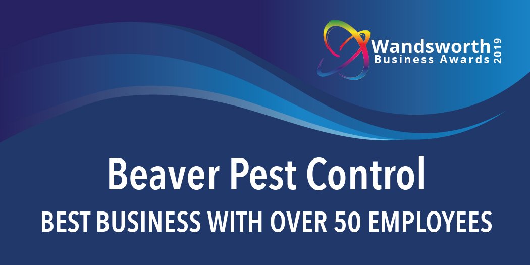 Congratulationss to Beaver Pest Control for winning the Best Business with over 50 Employees category! #winner #wandsworth #award <a href="/WandsChamber/">Wandsworth Chamber</a> #largebusiness #trophy