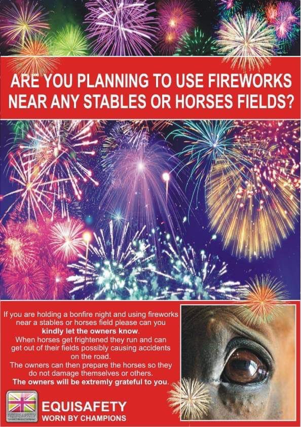 If you are planning to use fireworks near any stables or horse fields please let the owners know as soon as possible to so that they can be prepared. Frightened horses panic, run and can damage themselves or cause accidents. Their owners will be very grateful