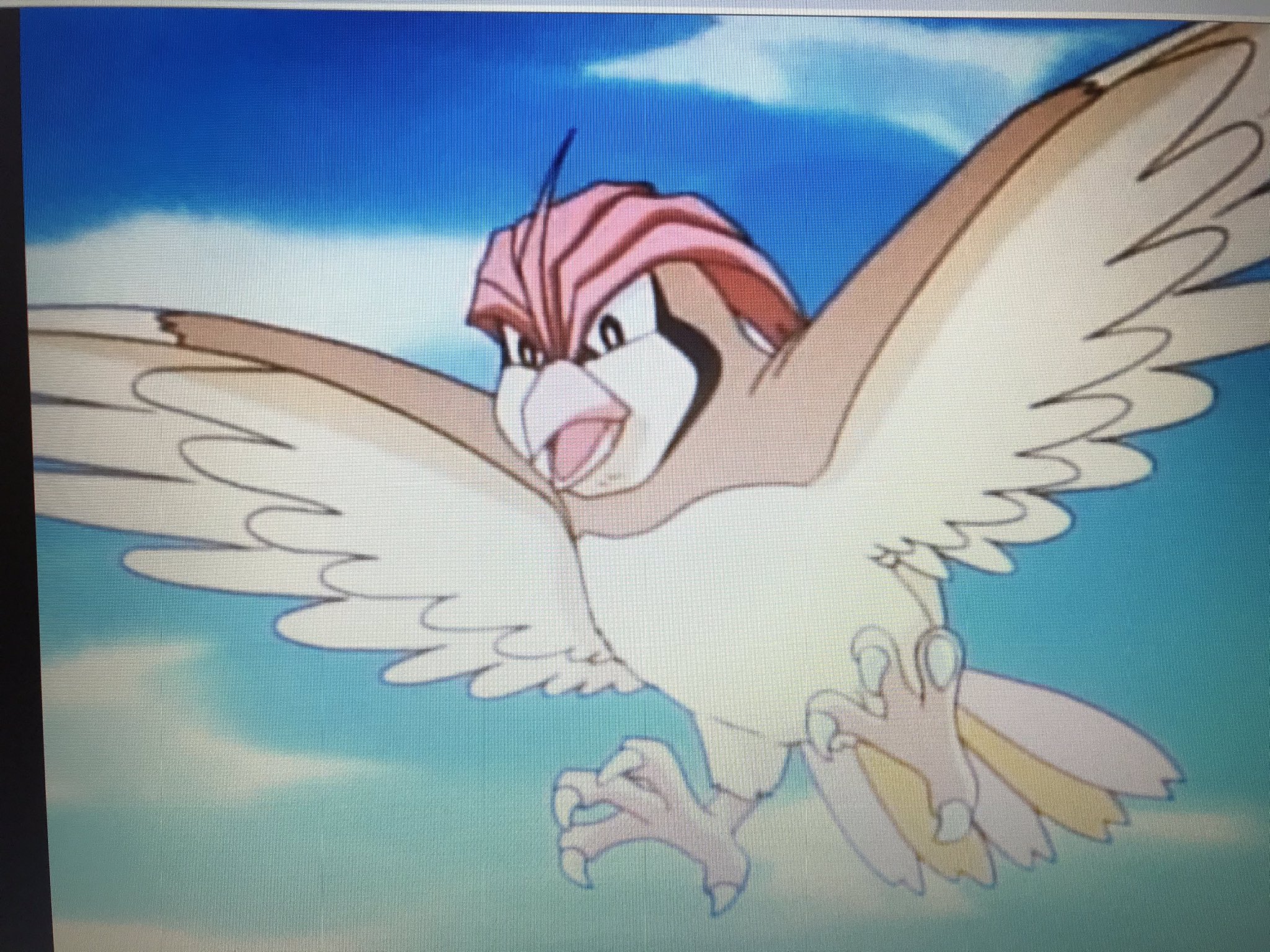 臥丸 1 飛行を活かした偵察 追跡 初期のサトシの手持ちポケモンでは 飛行できる唯一のポケモンだった バタフリーは21話で離脱 それを活かし 偵察や追跡で活躍した サトシがピジョンを飛ばしたら ほぼ間違いなく手掛かりを入手してくる T