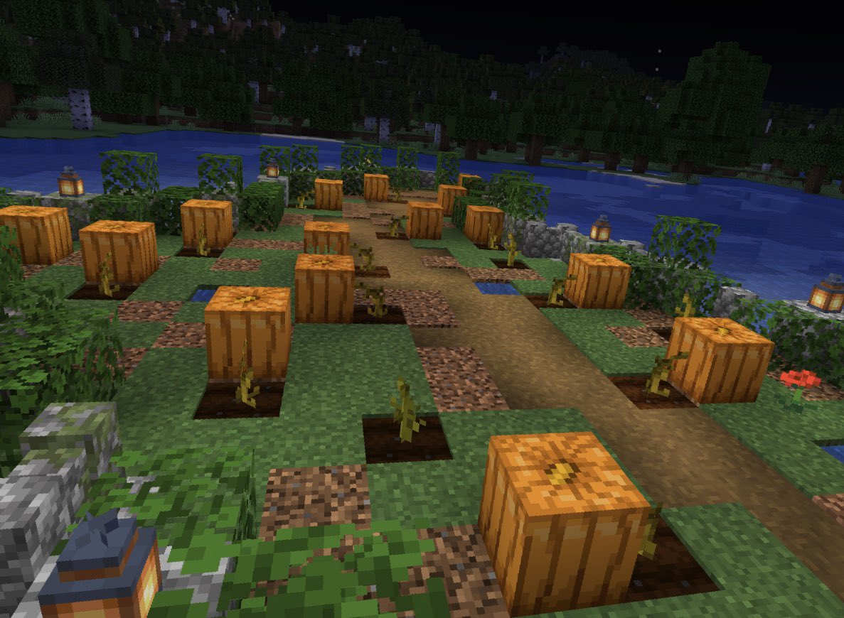 David0125_'s tweet image. She ain’t ever been to a pumpkin patch so I made her one 😌