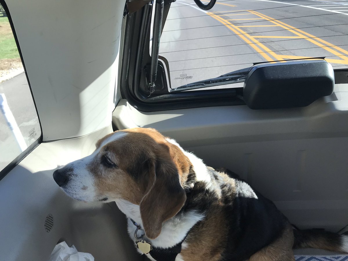 stegon66's tweet image. Geez, did they move the park?
#drivefaster