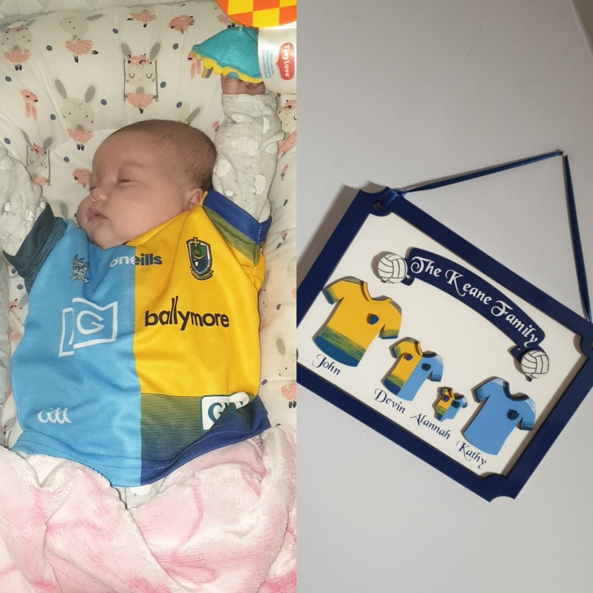 Not even 8 weeks old and she is already representing the counties! And now she matches the family plaque.. 
💙💙--💛💙
#WeAreRos #UpTheDubs 
@RoscommonGAA @clubrossie 
@DubGAAOfficial @DublinGAALive