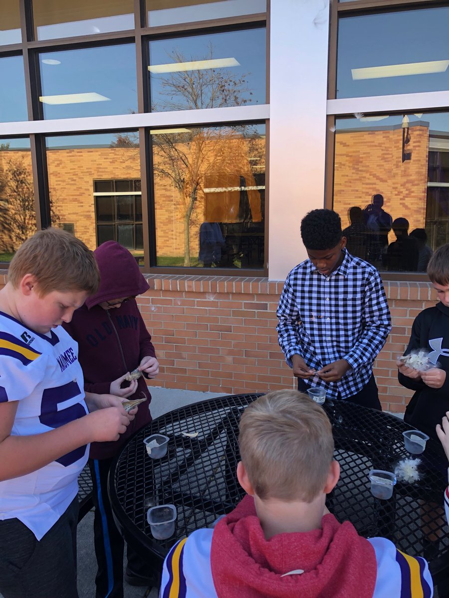 Separating milkweed seeds for planting in our prairie!!!