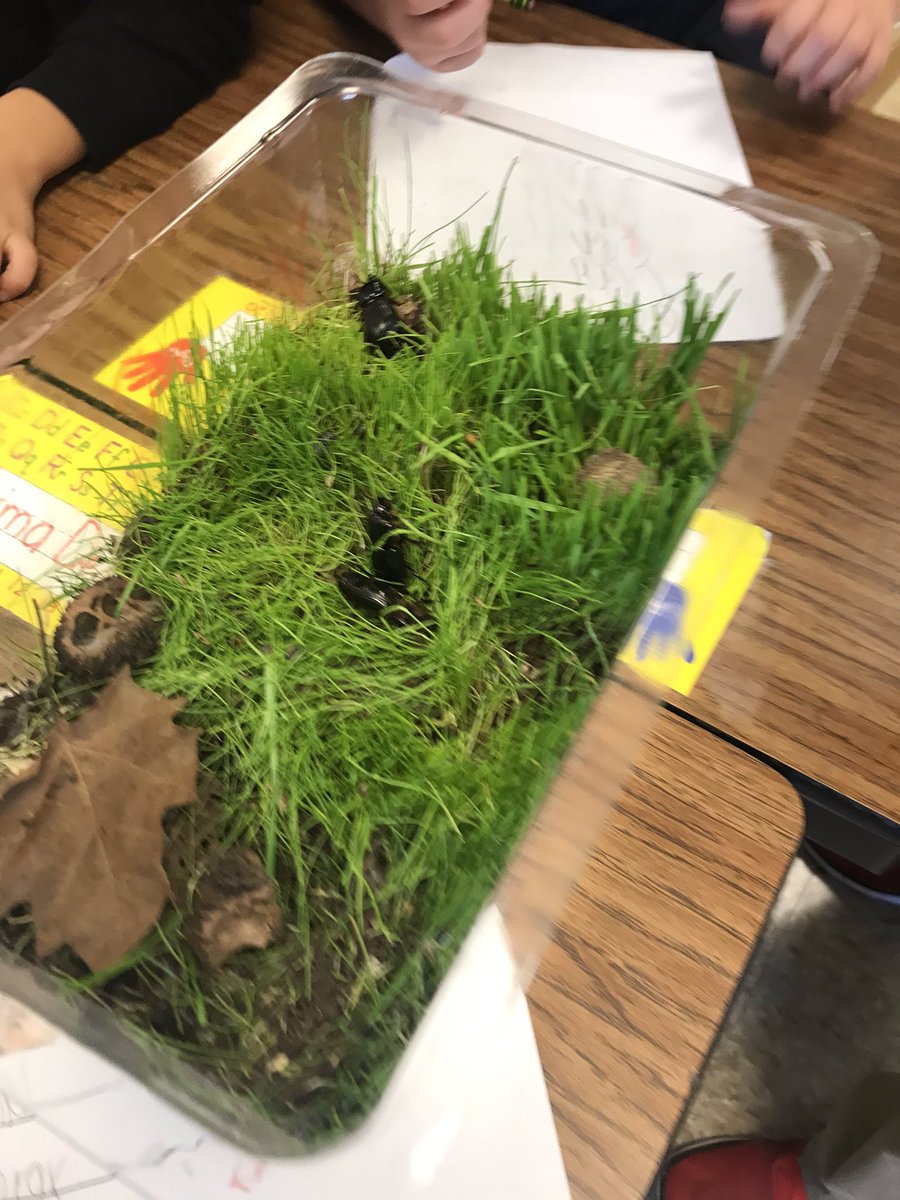 teachDudeck's tweet photo. Ss @WilkersonT are bug experts! #JCPSScience #bugexperts #deeperlearning  Thank you Mr. Allen! https://t.co/qzSAMXvg0D