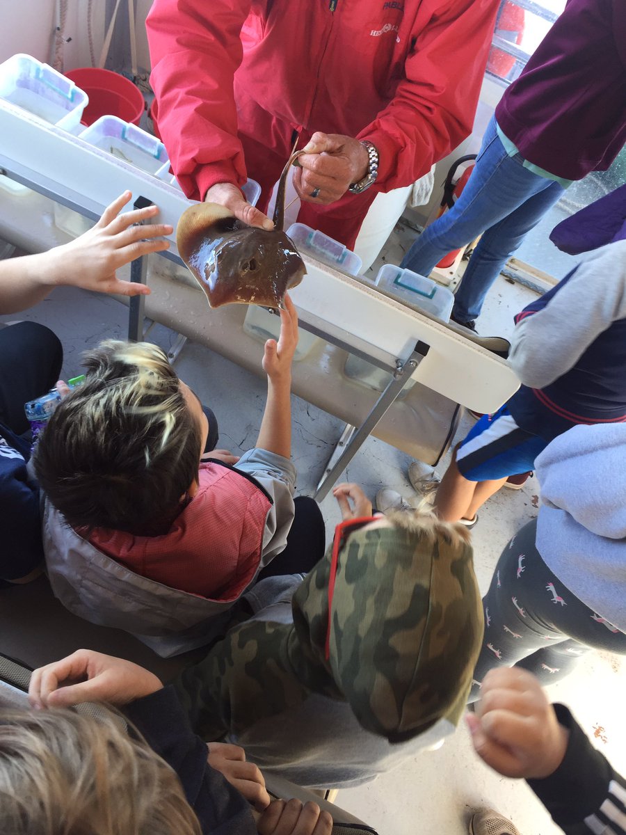 MrsBochniak's tweet photo. Transit trawl! #fifthdrift https://t.co/F42cwMzmvq