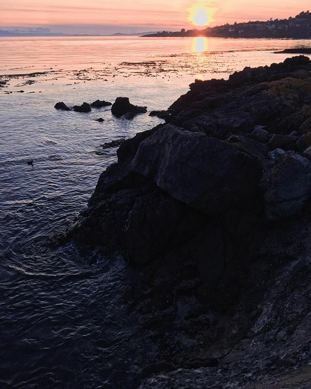 andrew_stock's tweet photo. 🌅 https://t.co/NPCu6G5viT https://t.co/31Eo5cUbIq