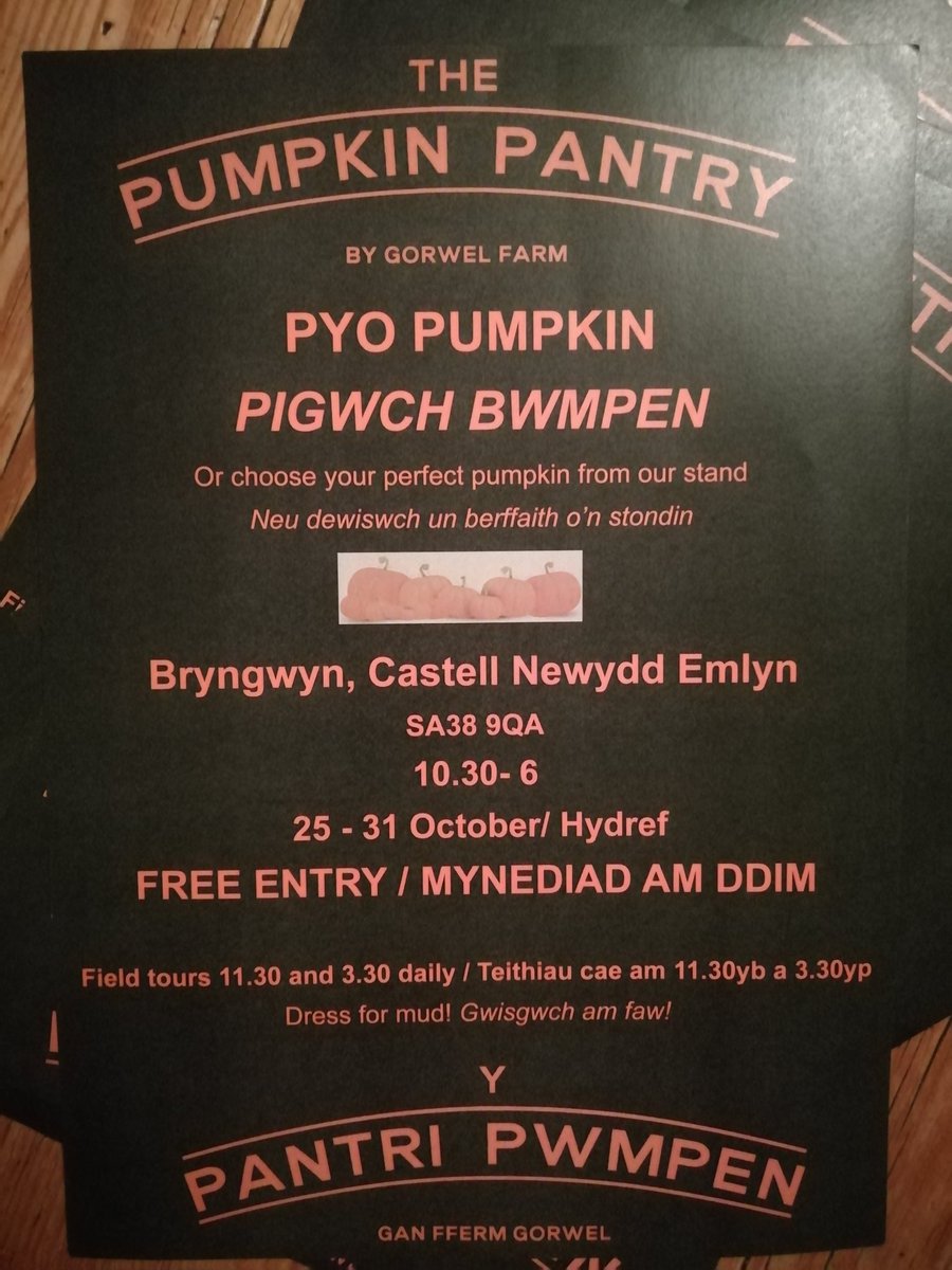 My new venture 'the pumpkin pantry' is nearing its grand debut friday!!! Still setting up but its looking fab. #westwales #caruceredigion #findyourepic
