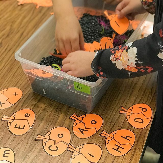 Marsha McGuire tweet media