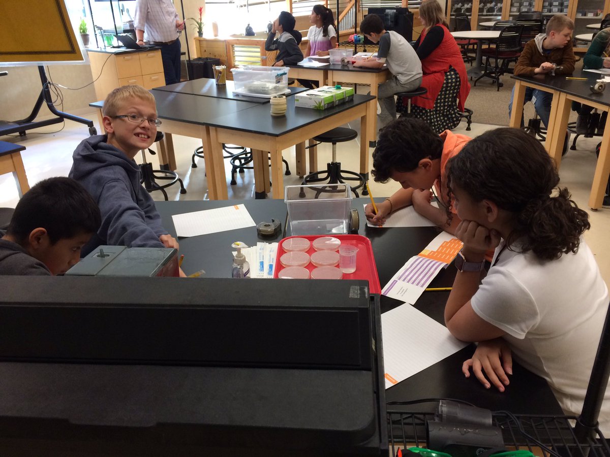 VAI_Education's tweet photo. What does it mean to have a “fair” test? Before our students can investigate bacteria and disinfectants, they need to understand the variables. This is just the first step towards thinking like a scientist! #blueapple #studends #PBL #InquiryMindset #edchat https://t.co/LOjoEO7aOF