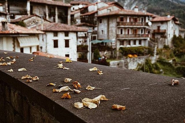 igerspn's tweet photo. #Poffabro è un angolo di #Friuli quasi magico, nella #ValColvera. Ricostruito dopo il terremoto del 1976, il borgo nasconde scorci e stradine molto suggestivi. La foto di @lamagiafuoridallaporta ne coglie perfettamente l’anima.
A dicembre, inoltre, il c… https://t.co/ml3FBC4fWQ https://t.co/ys00yPPZKD