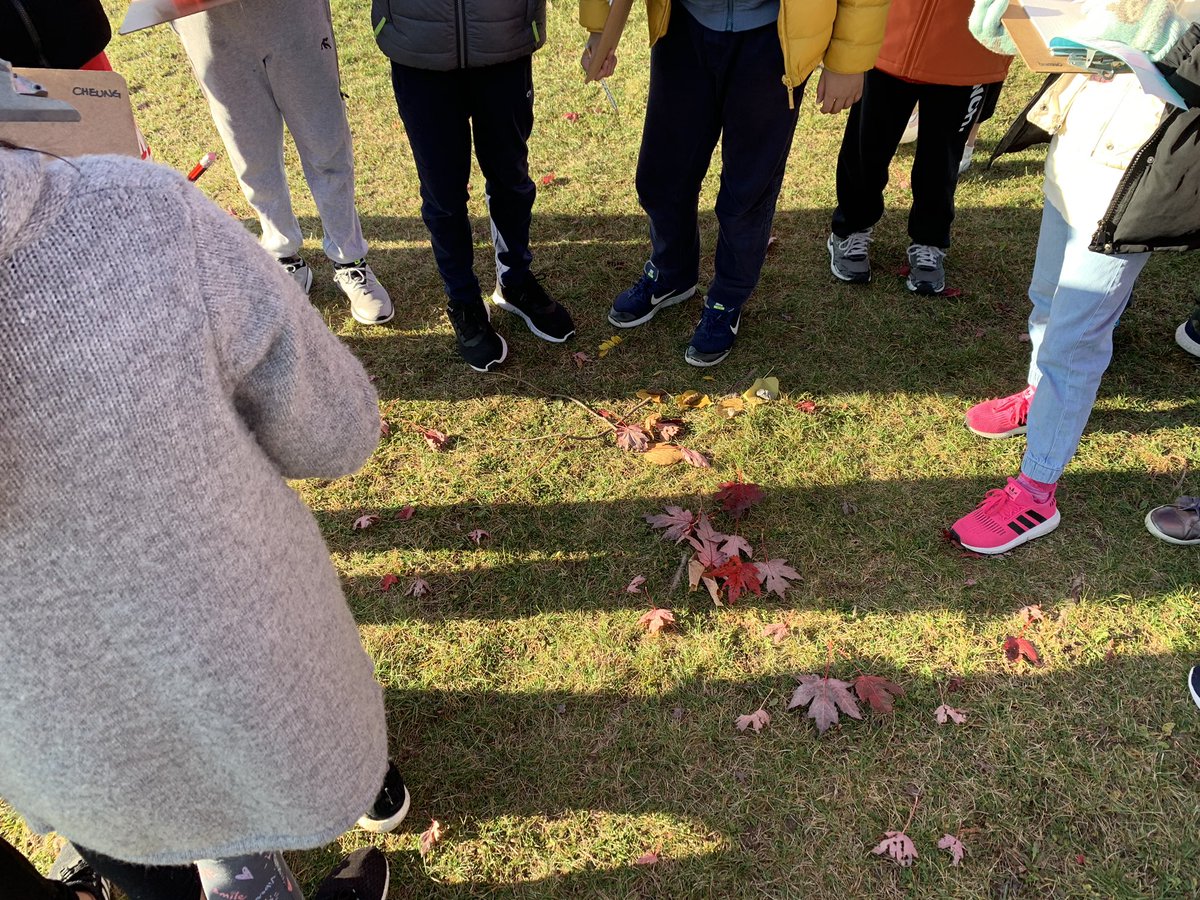 MsCheung216's tweet photo. Using school yard items to learn and review fractions and percentage. #TakeMeOutsideDay @YRDSBGetOut @EcoSchoolsCAN @GreensboroughPS @YRDSBEcoSchools #OutsideLearning https://t.co/qD2ng3Y0p8