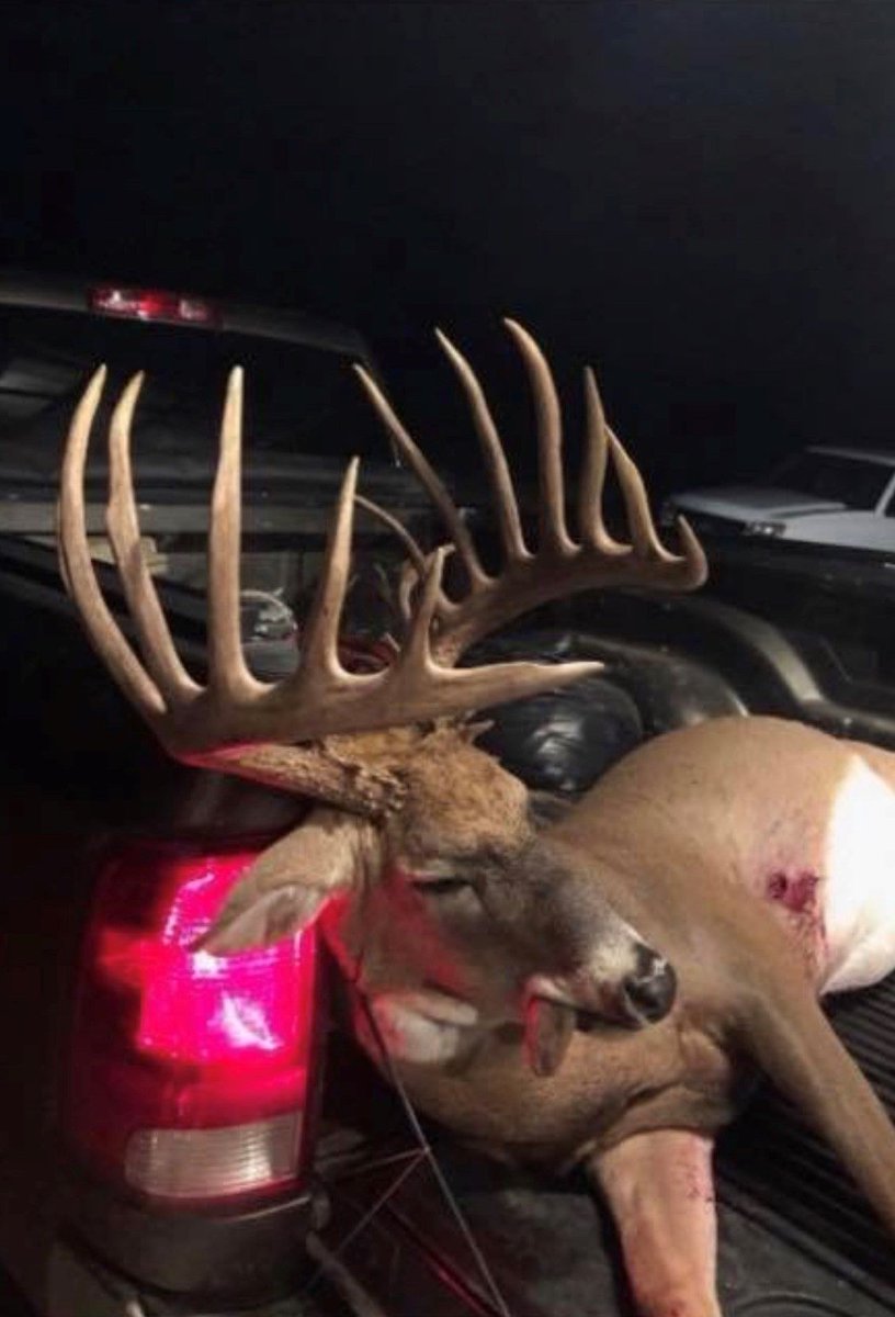 SPORTSMANchnl's tweet photo. Oklahoma Big Buck Alert! Congratulations to Gunner Womack on his absolute giant clean typical whitetail buck. The Unofficial score of the buck is 214" gross, and net of 2014/8". Definitely a buck of your dreams.
#IAMSPORTSMAN #deerhunting #whitetails #bigbucks #typicalbuck https://t.co/oqjOMfdeon
