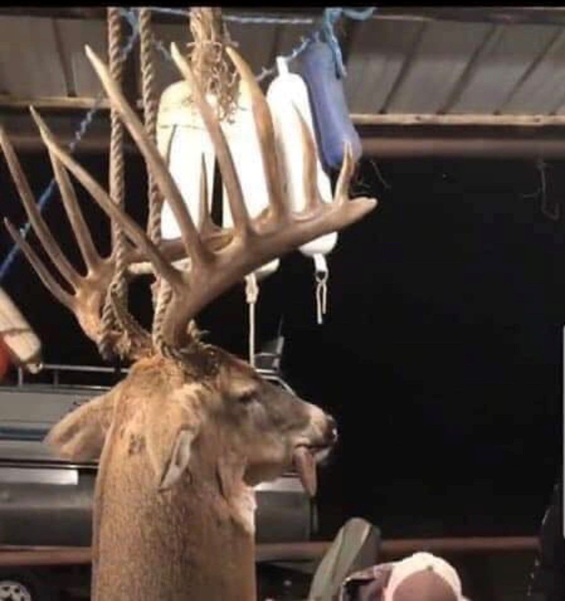 SPORTSMANchnl's tweet photo. Oklahoma Big Buck Alert! Congratulations to Gunner Womack on his absolute giant clean typical whitetail buck. The Unofficial score of the buck is 214" gross, and net of 2014/8". Definitely a buck of your dreams.
#IAMSPORTSMAN #deerhunting #whitetails #bigbucks #typicalbuck https://t.co/oqjOMfdeon