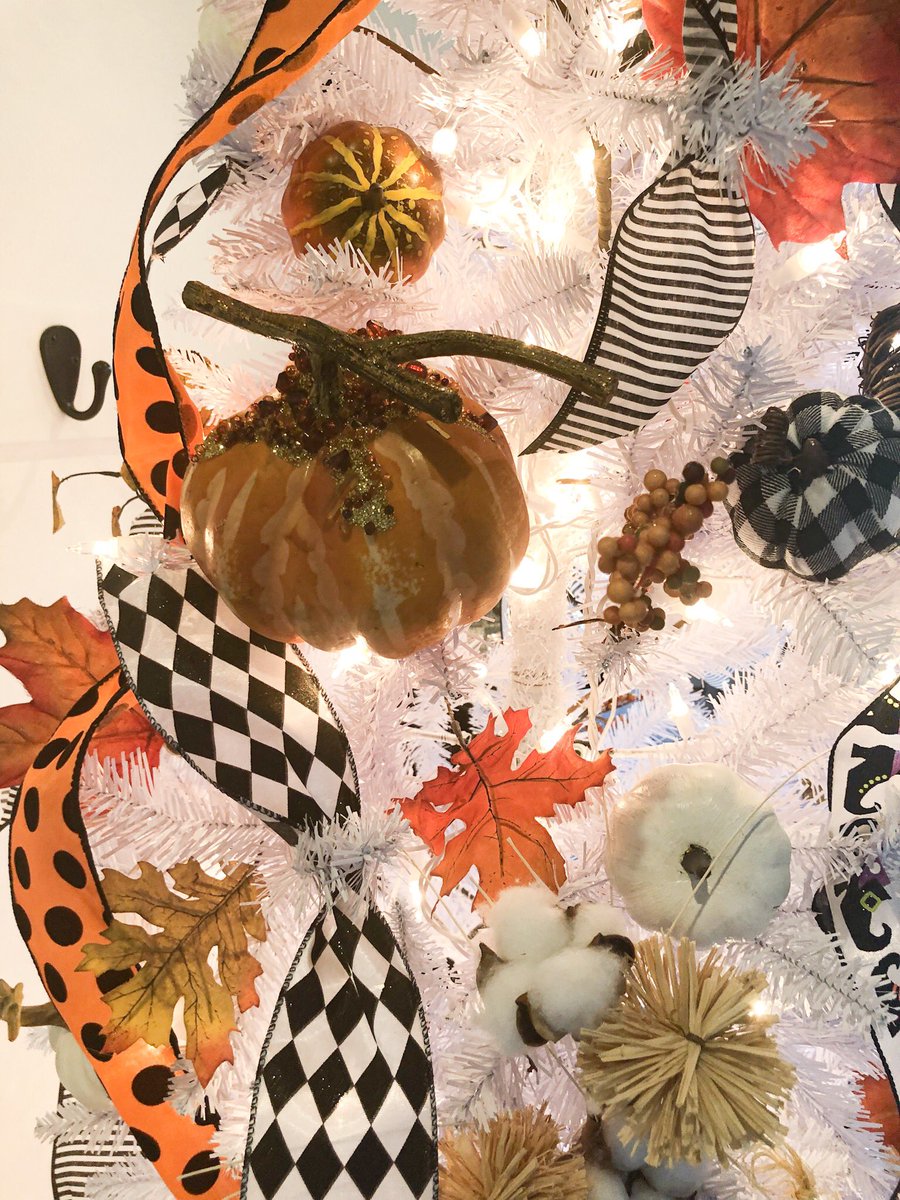🍁🧡 Happy fall! 🧡🍁
