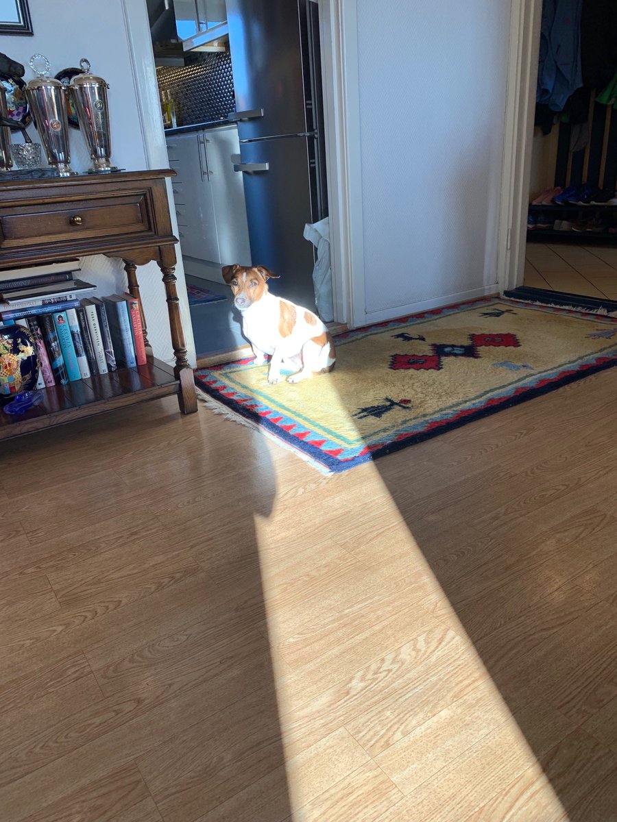 EggenMarit's tweet photo. Snakk om å finne sola🌞 https://t.co/mXQgXHj9tE