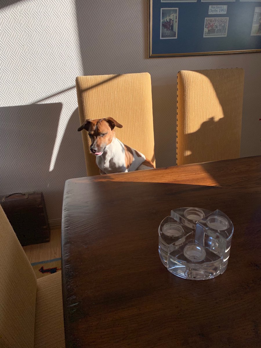 Snakk om å finne sola🌞