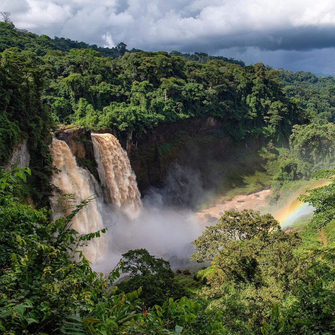 GuestKmer's tweet photo. The Magic of Ekom-Nkam waterfalls 😍

Ici fut tourné une partie du film de Christopher Lambert titré: Greystoke, la légende de Tarzan.

Avec un peu d'immagination, vous vous sentirez dans la peau de Lord Greystock

📷Alessio Bariviera 
#cameroon #africa #tarzan #team237 https://t.co/Q8Vrqxx3jx
