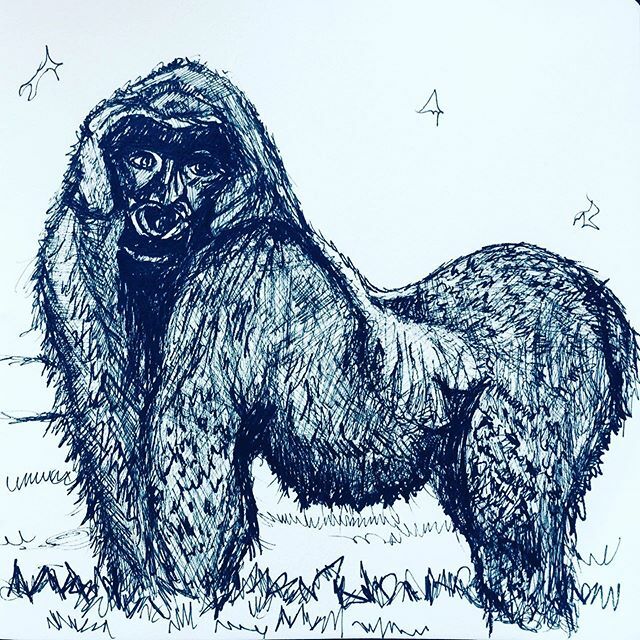 Reviewing ink sketches that I meant to return to for painting #lisakatharina_happy #inktober2019 #inksketching #gorilla #inktober #primates #inkonpaper #sketchbook #primatesanctuary Gorillas are the largest living primates and the species is critically endangered. #endangere…