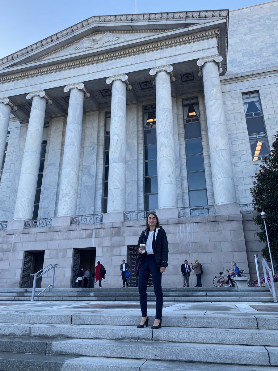 Marcela Sapone tweet media