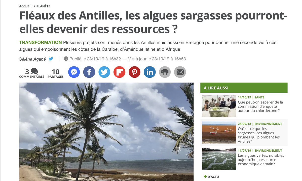SargasseP's tweet photo. On parle de #SargasseProject dans @20Minutes aujourd'hui ! #sargasses #sargasse #environnement
https://t.co/HR45bJKozk https://t.co/lO3gSmc7o1