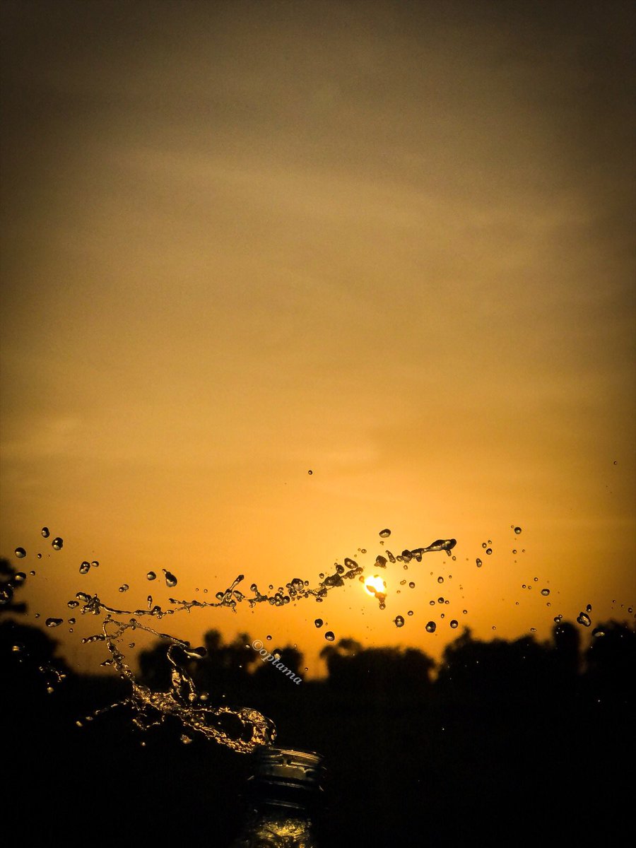 So I took this pictures out of boredom and I think they’re magic and worth sharing: iPhone 8+Retweet if you love sunset