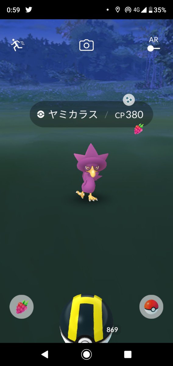 ポケモン カゲボウズの色違い ポケモンの壁紙