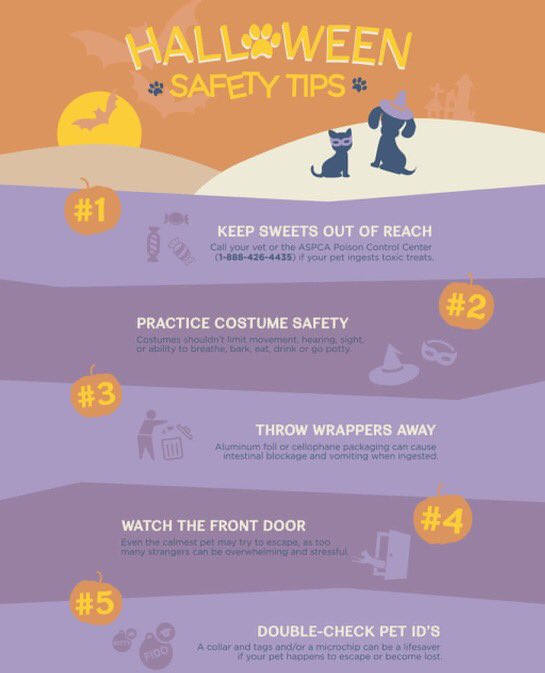 NapaHumane's tweet photo. It's almost the spookiest day of the year! 🎃👻💀 You know to keep sweets out of reach 🍭🍬 but be sure to brush up on important #Halloween safety tips for your #pets: https://t.co/htZiKNyRDd Make sure that ID tags &amp; microchip info is up to date &amp; keep 🐶🐰🐱 inside. #petsafety https://t.co/bejV1IjFWf