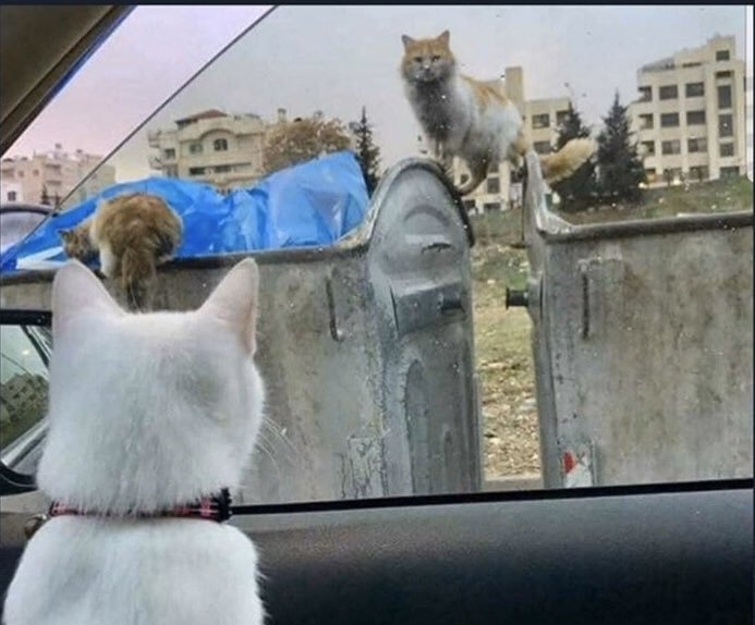 +Aa ben de Orduluyum, sen neresinden?
-Bahçelievler sen?
+Selimiye