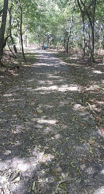 Nature walk https://t.co/kdoWHiJbTJ<a href="/tag/sugarbaby"class="tags"><span>#sugarbaby</span></a><a href="/tag/sugardaddyneeded"class="tags"><span>#sugardaddyneeded</span></a><a href="/tag/sugardaddycasha"class="tags"><span>#sugardaddycasha</span></a>