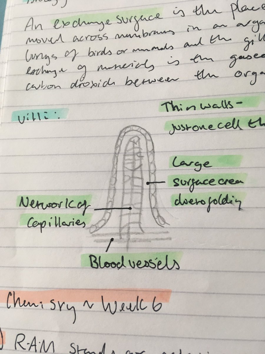 NailseaScience's tweet photo. Just a small selection and hopefully more to come showing some of the work going in at KS4 to consolidate knowledge - keep up the fantastic effort! https://t.co/TzHeFqYp15