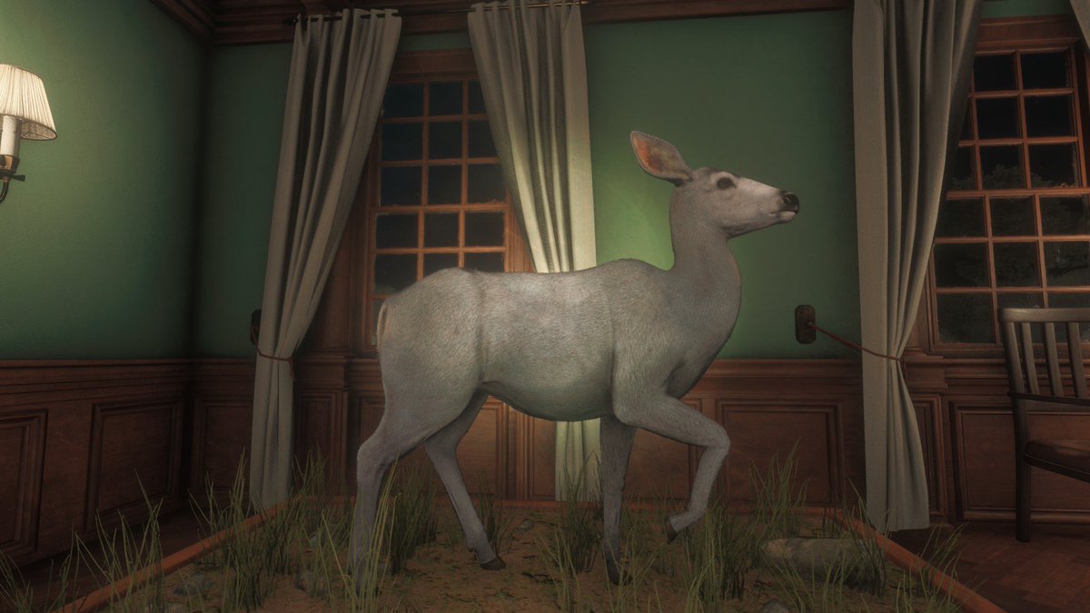 Xeno Thehunter ミュールジカ 毛皮はダイルート スプリングボック 毛皮はブラックブラウン