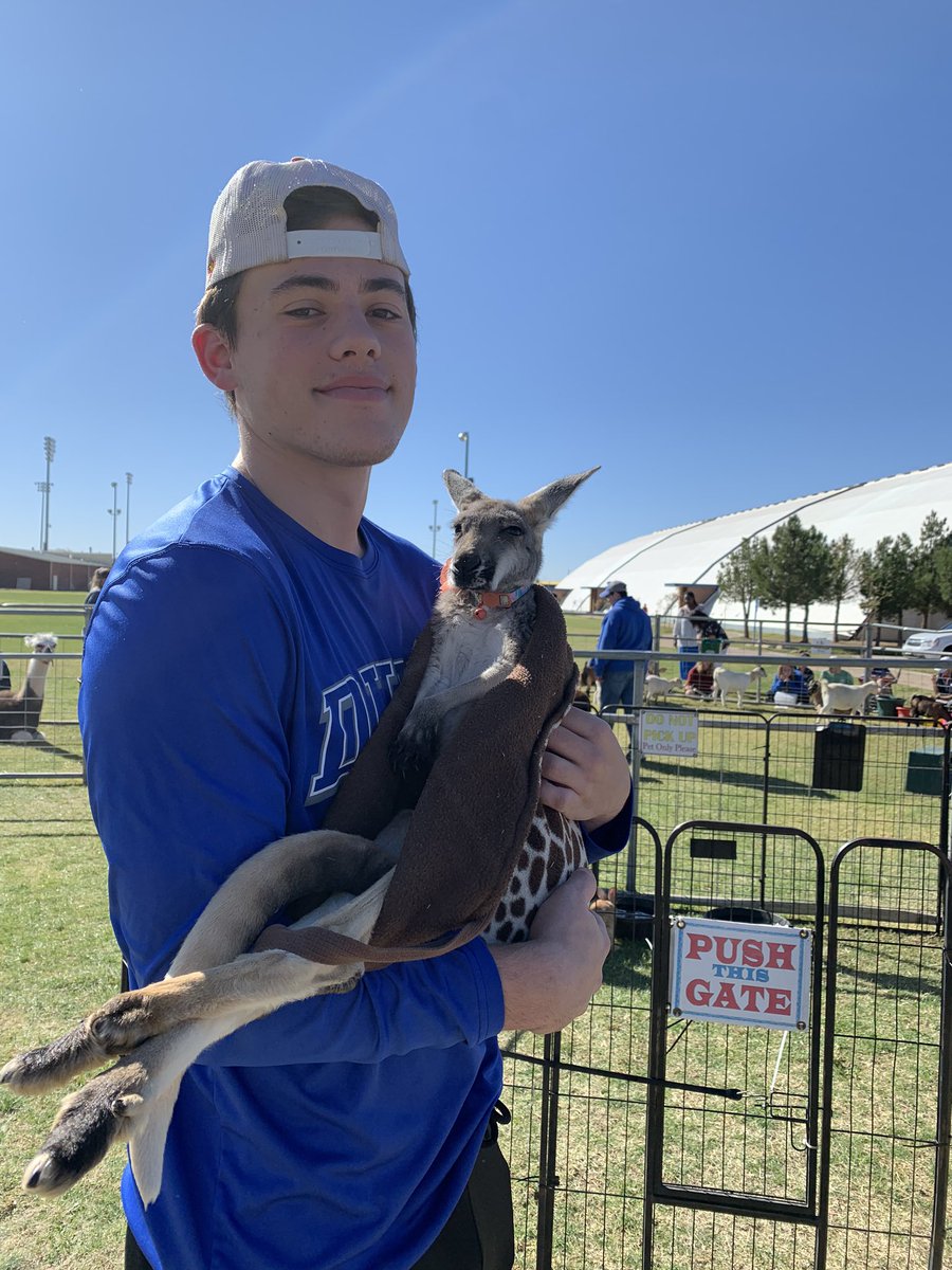Noah Horn tweet media