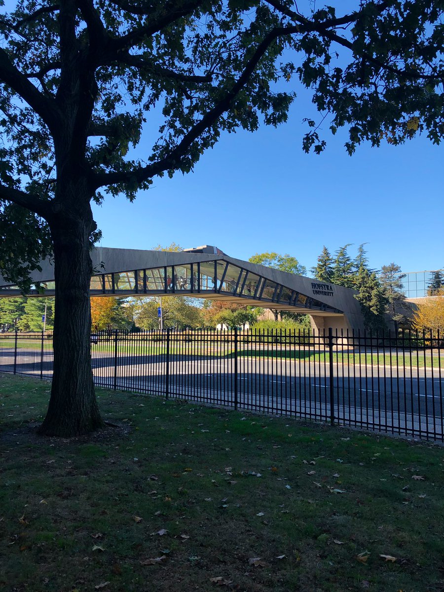 RVHillPhD's tweet photo. I attended @HofstraU from 1993-1997. Much has changed, but a lot is still the same! I still love it here and I’m lucky to now work at @ZuckerSoM! #DayInThePride 🦁 https://t.co/pA1BmjwqwK