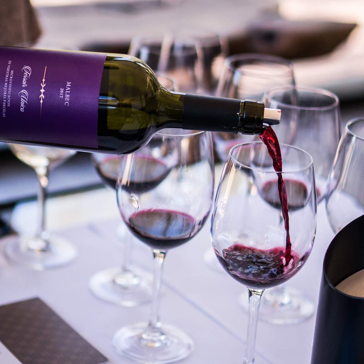 Uncorking Argentina tweet media