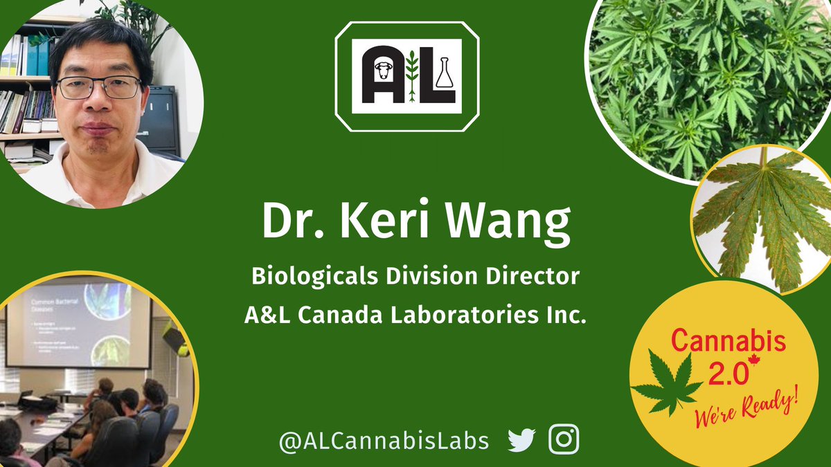 Last month at #Grow19 industry experts discussed #cannabis cultivation strategy as it relates to disease & insect pests 

A&L’s Biological Director Dr. Keri Wang highlighted the importance of plant nutrition with respect to plant disorders

Learn More: alcanada.com/pdf/newsletter…