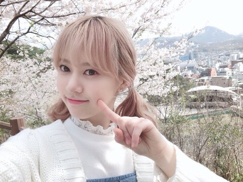 KimBoraBrasil's tweet photo. #FANCAFE • 14.04.19 | Atualização da Bora no fancafe!

#BORA #보라 #CherryBullet @cherrybullet (2/2) https://t.co/WYzWPCMDlz