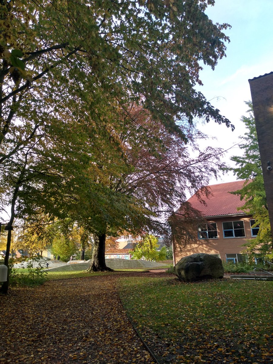 Ann-Kristine Hald tweet media