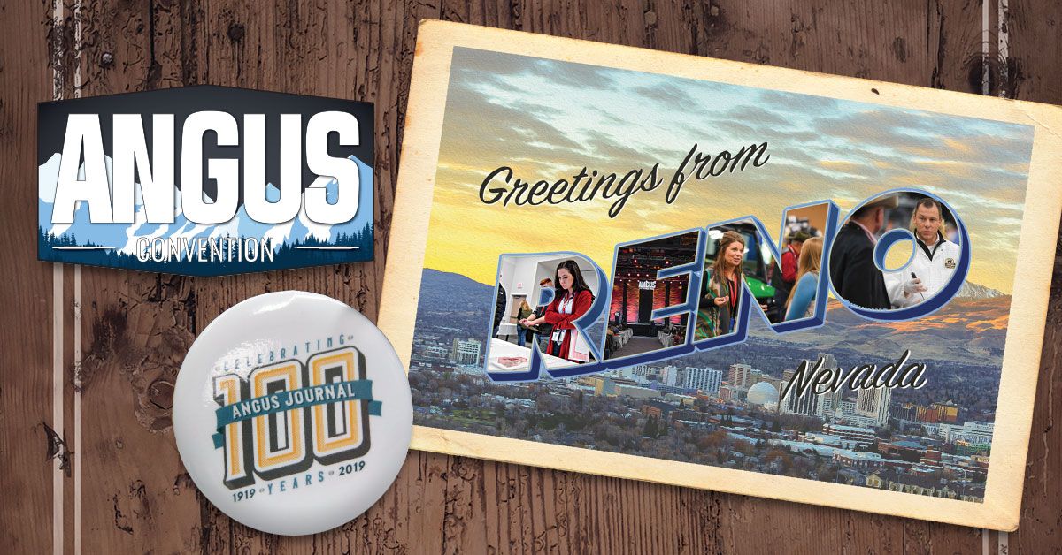 AJeditor's tweet photo. #AngusConvention is right around the corner and the #AngusJournal is preparing to celebrate the 100th anniversary at the event. Make sure you stop by the Angus booth and grab your commemorative button!
If you aren’t a subscriber yet, let’s change that: {https://t.co/YwB7LtAuGP} https://t.co/sfRIMlVyf6