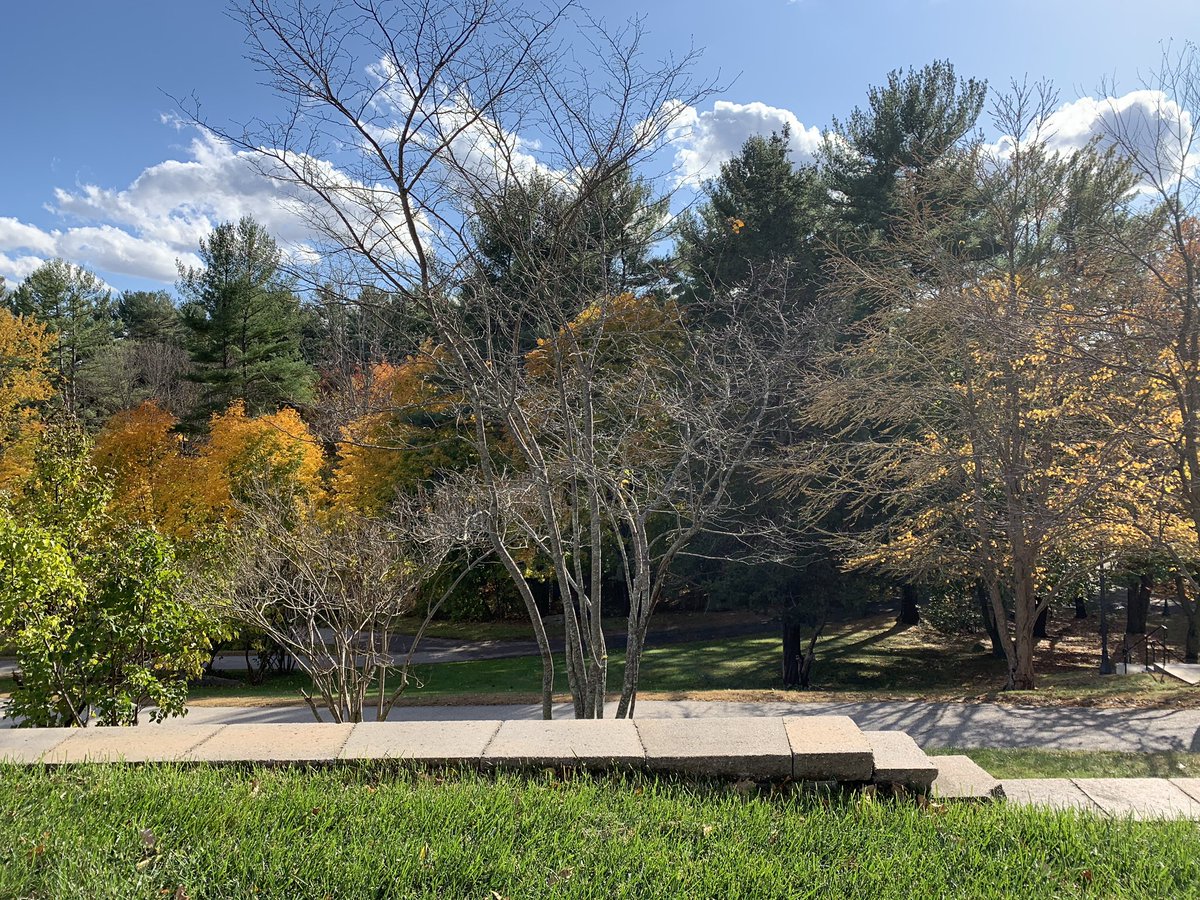 This is my favorite scenic spot at UNH because of all the greenery. #UNH Digital Reporting